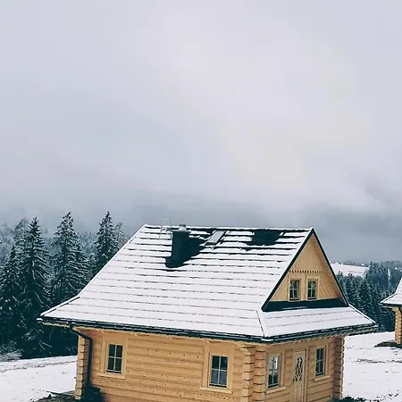 Villa Koniakowo - Dom Albino *