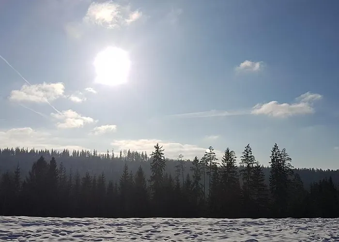 Koniakowo - Dom Albino * Koniaków