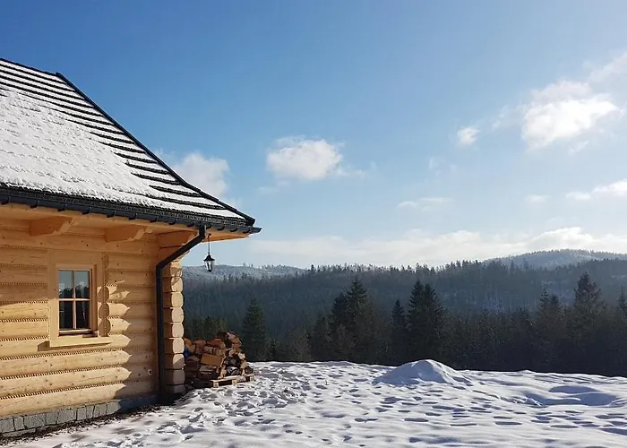 Vila Koniakowo - Dom Albino