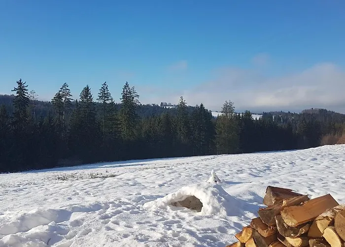 Koniakowo - Dom Albino Vila Koniaków