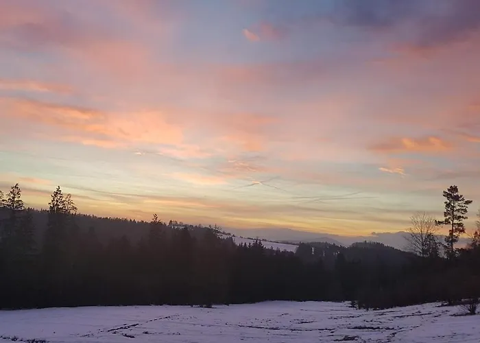 Koniakowo - Dom Albino Vila