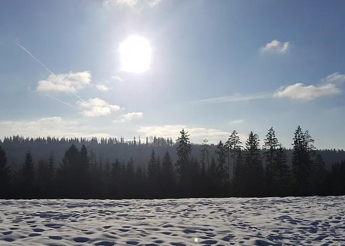 Vila Koniakowo - Dom Albino *