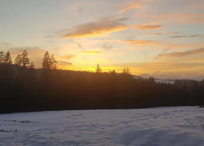 Vila Koniakowo - Dom Albino *