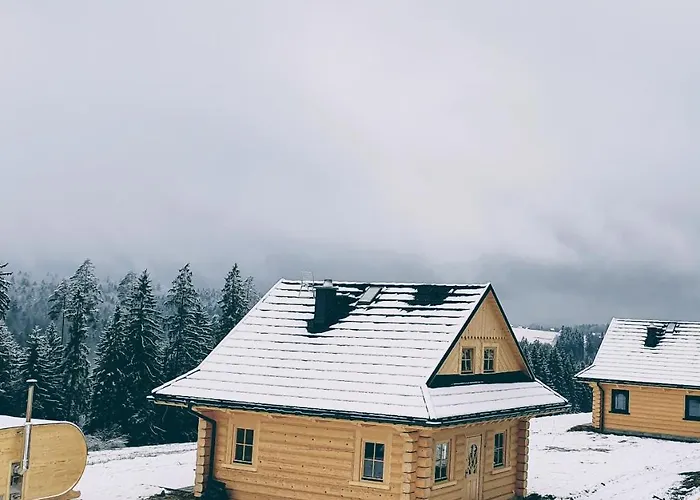 Vila Koniakowo - Dom Albino *