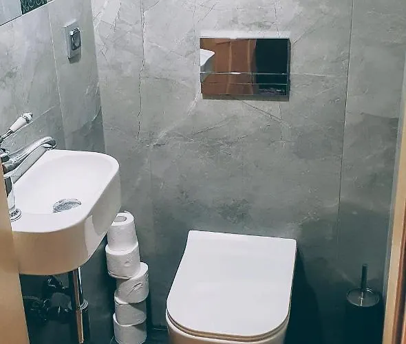 Vila Koniakowo - Dom Albino *