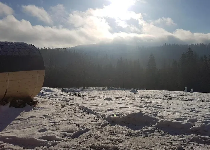 Vila Koniakowo - Dom Albino *